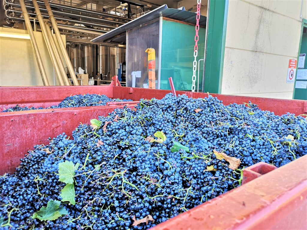 WineTrip direction les Vins de Cascastel